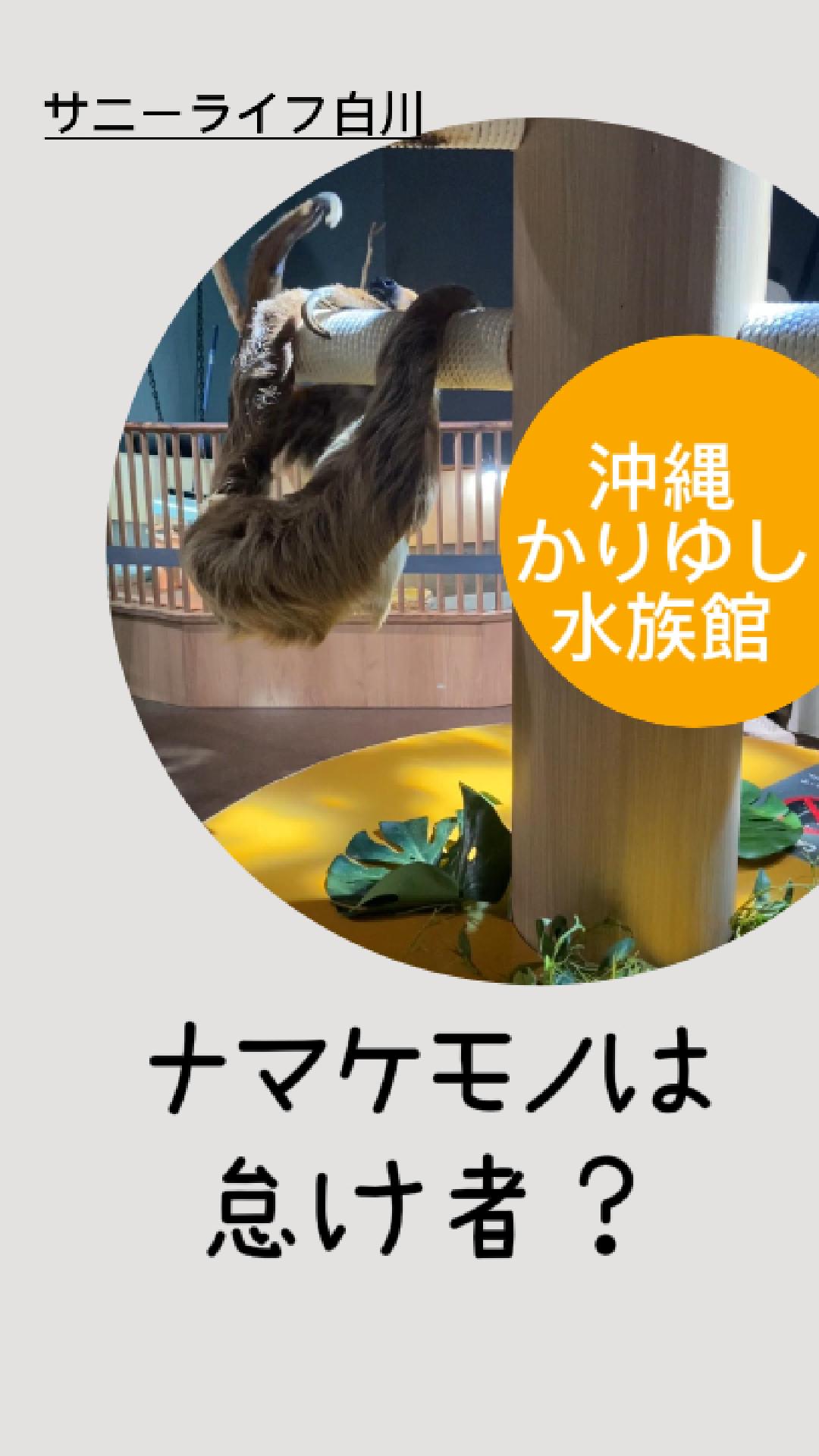 ナマケモノは怠け者？