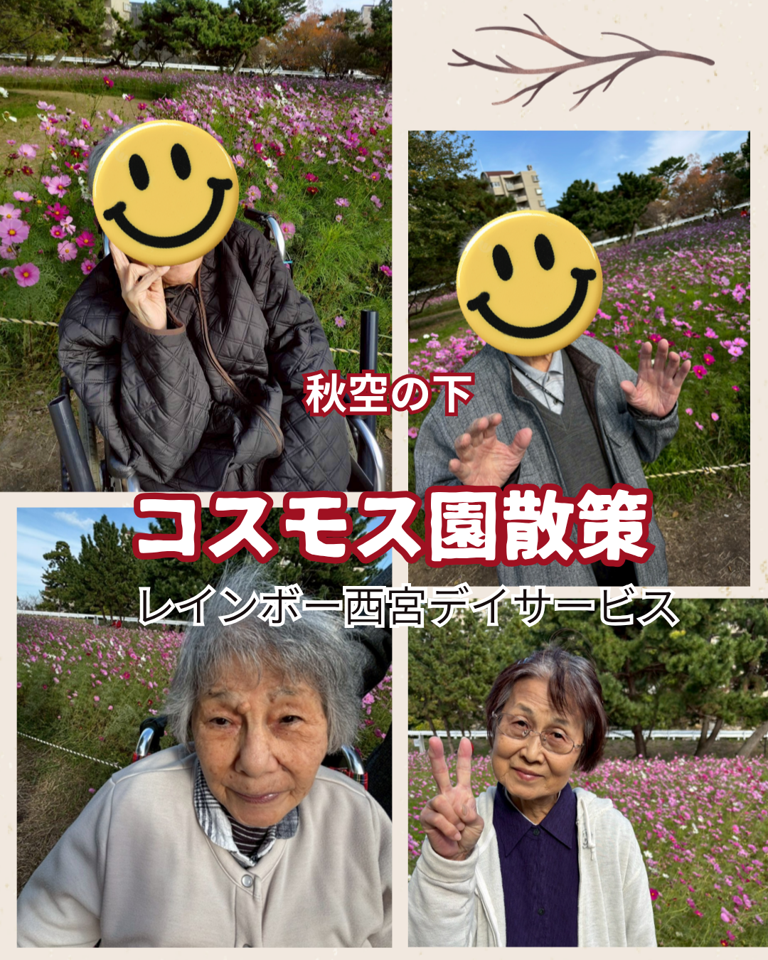 11月　コスモス園散策