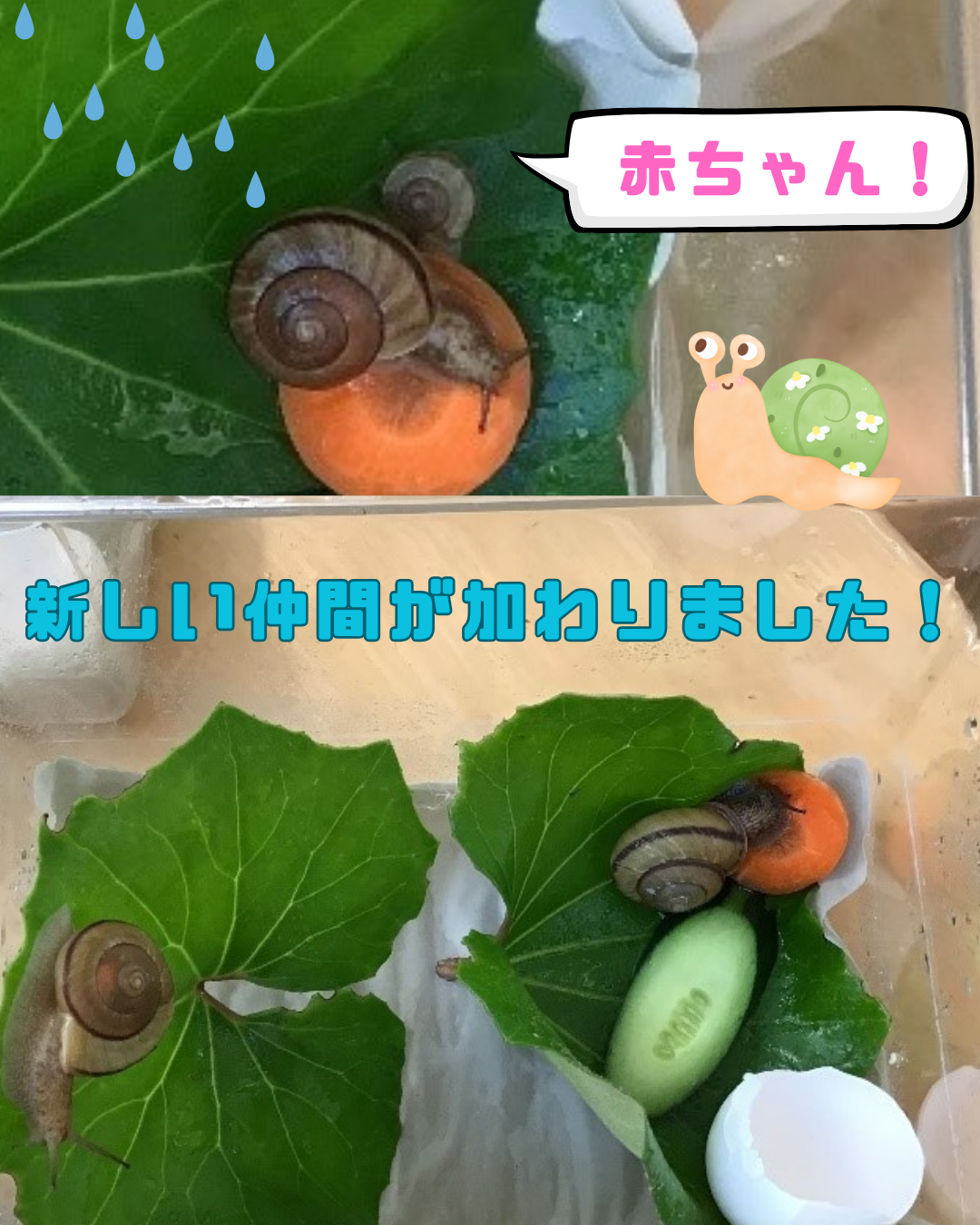 新しい仲間が加わりました！！