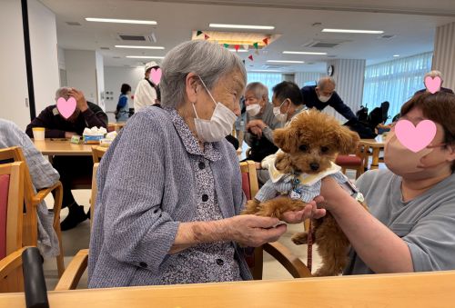 ドッグセラピー①1.jpg