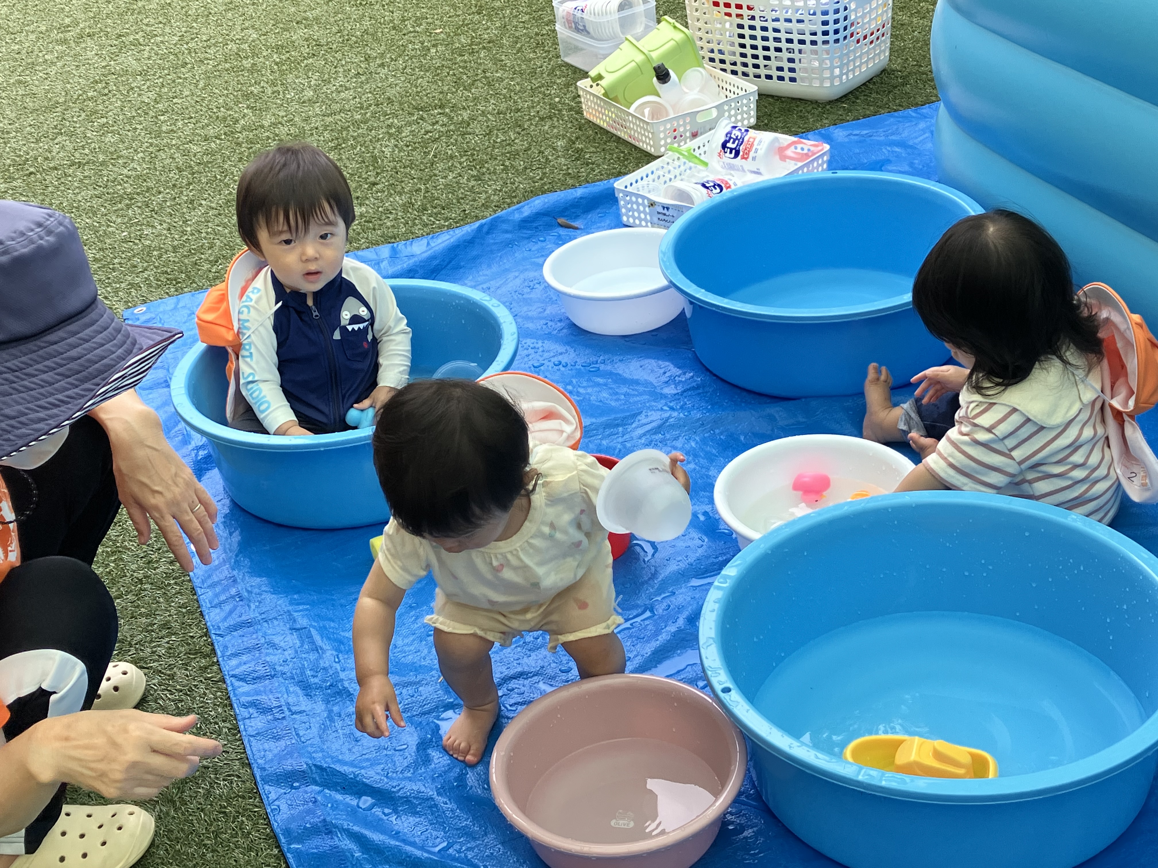 水遊び始めました！