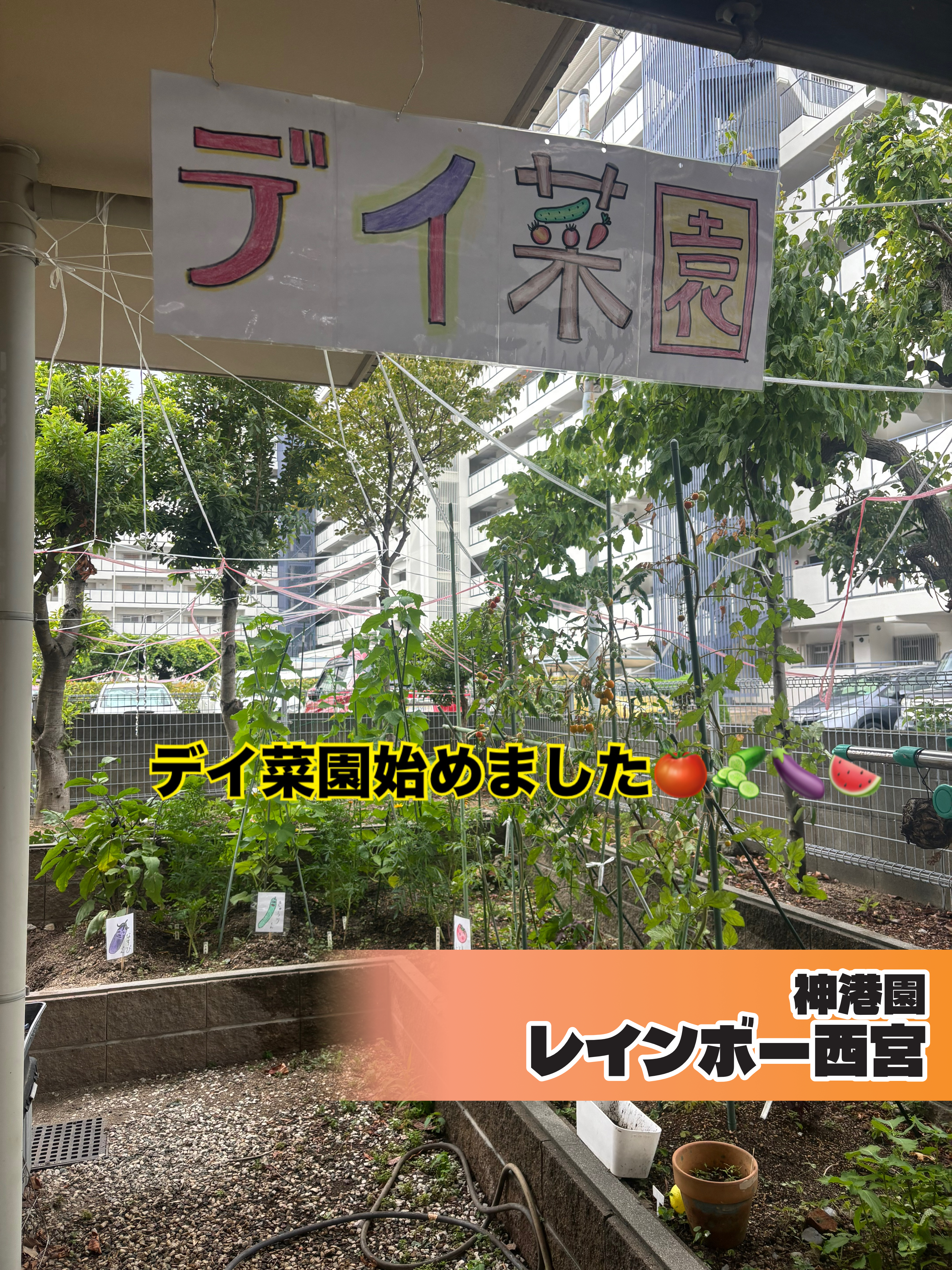 施設内の菜園