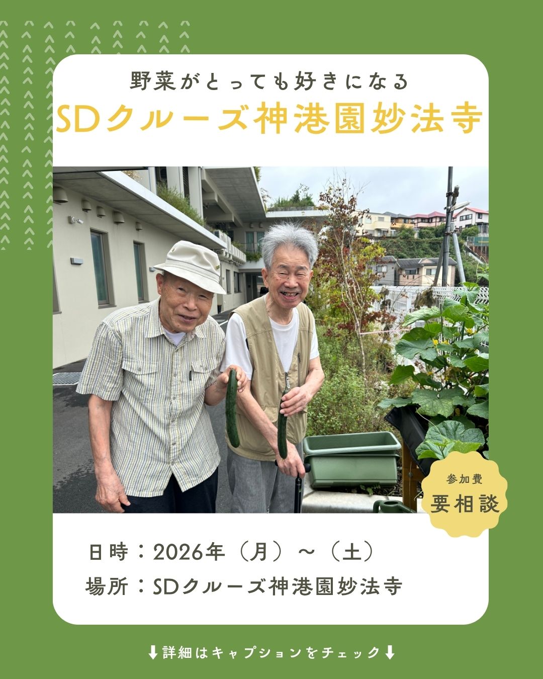 ☆SDクルーズ神港園妙法寺☆きゅうりがたくさん収穫できました♪