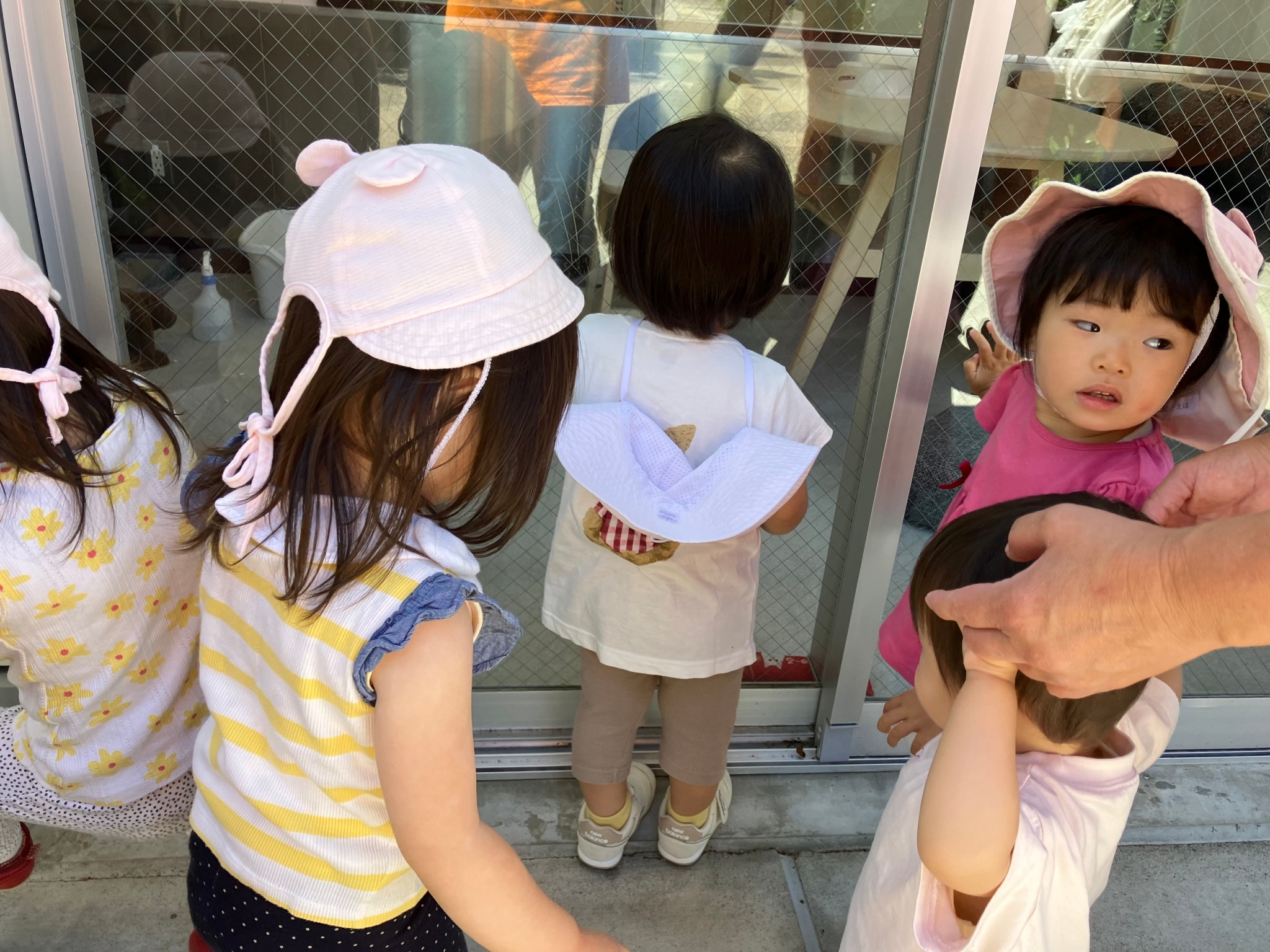 こうべ動物共生センターに行きます！