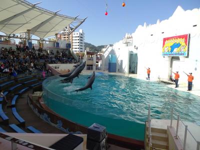 「ＧＯ！ＧＯ！須磨水族園」