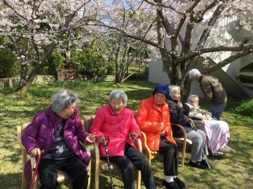 ショートステイ　お花見