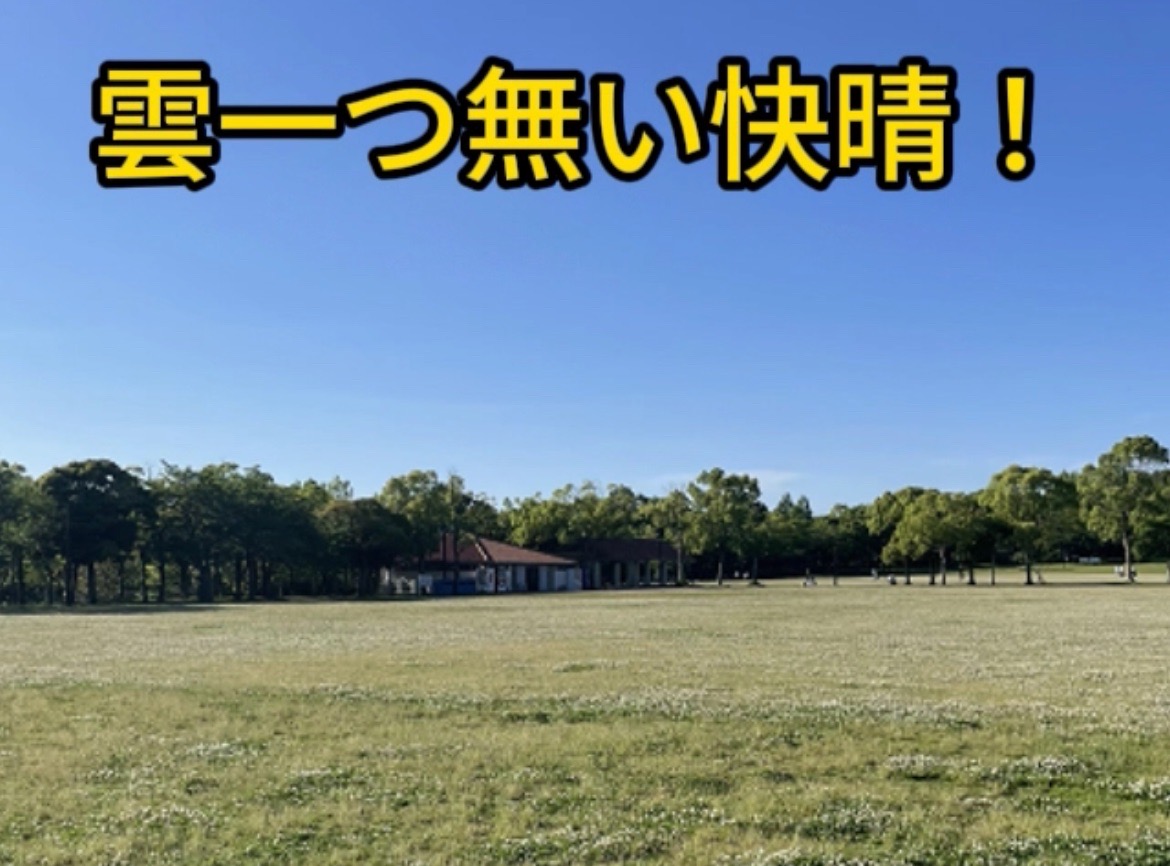 芝生広場に行こう！