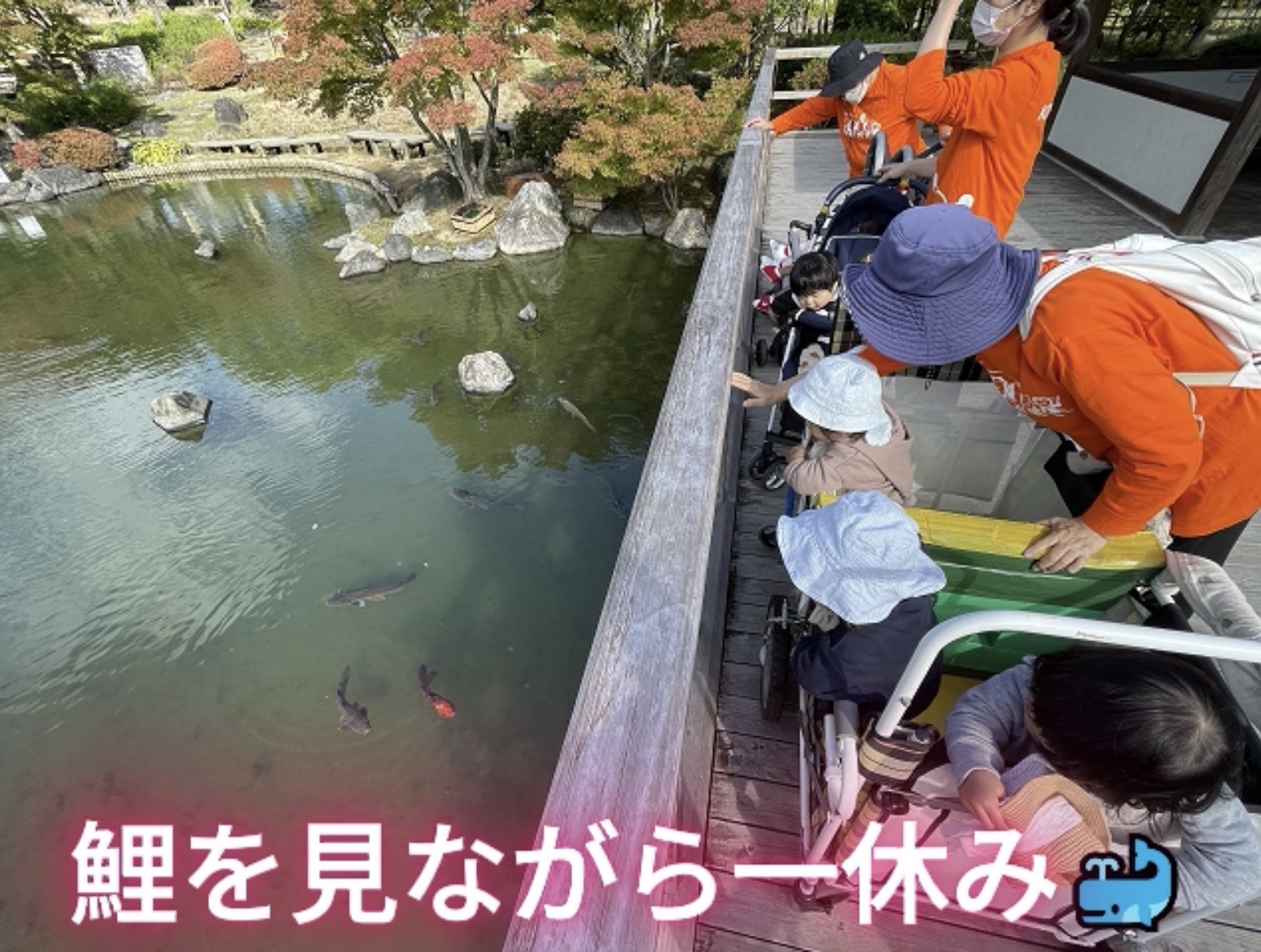 遠足に行ってきました♪