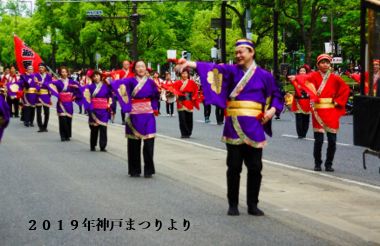 踊踊クラブ　第50回神戸まつり　お祭りパレード　出演決定！！