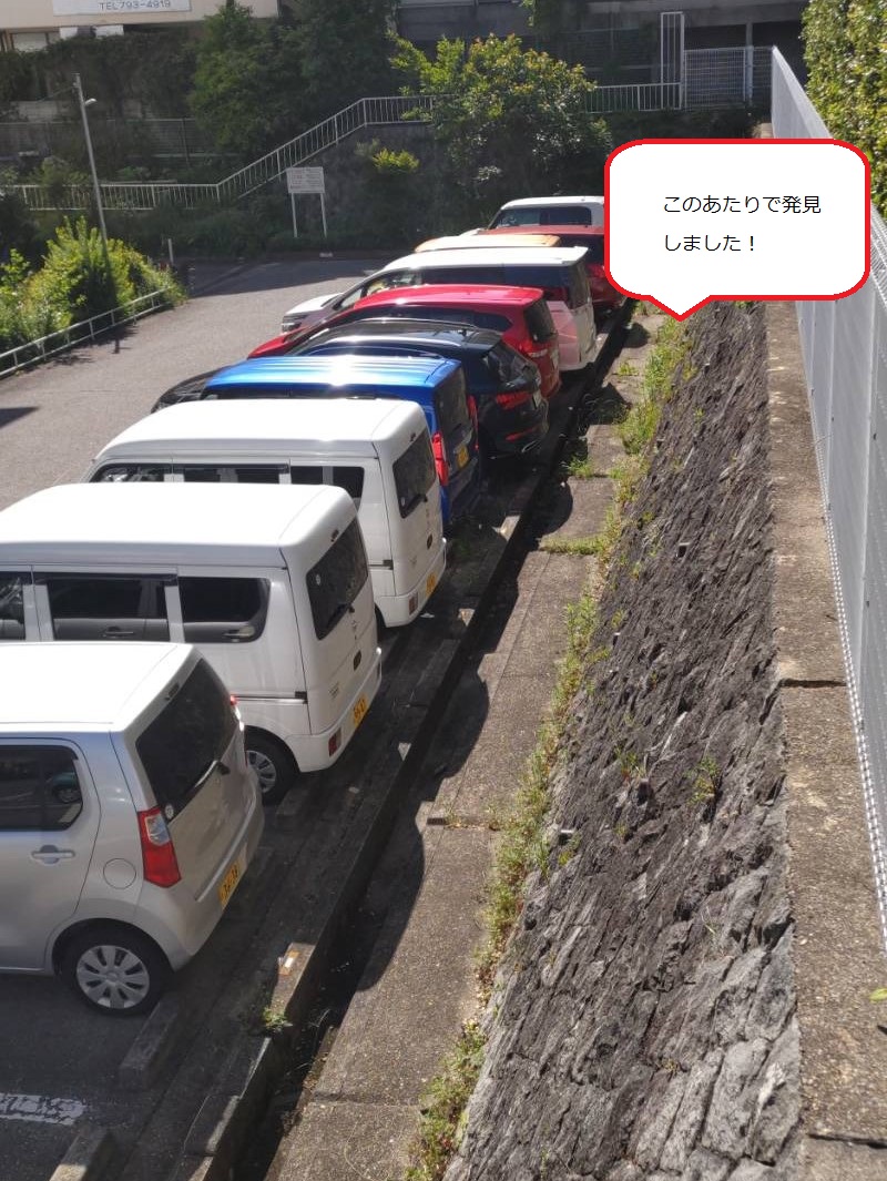 R60514サニー⑥.jpg