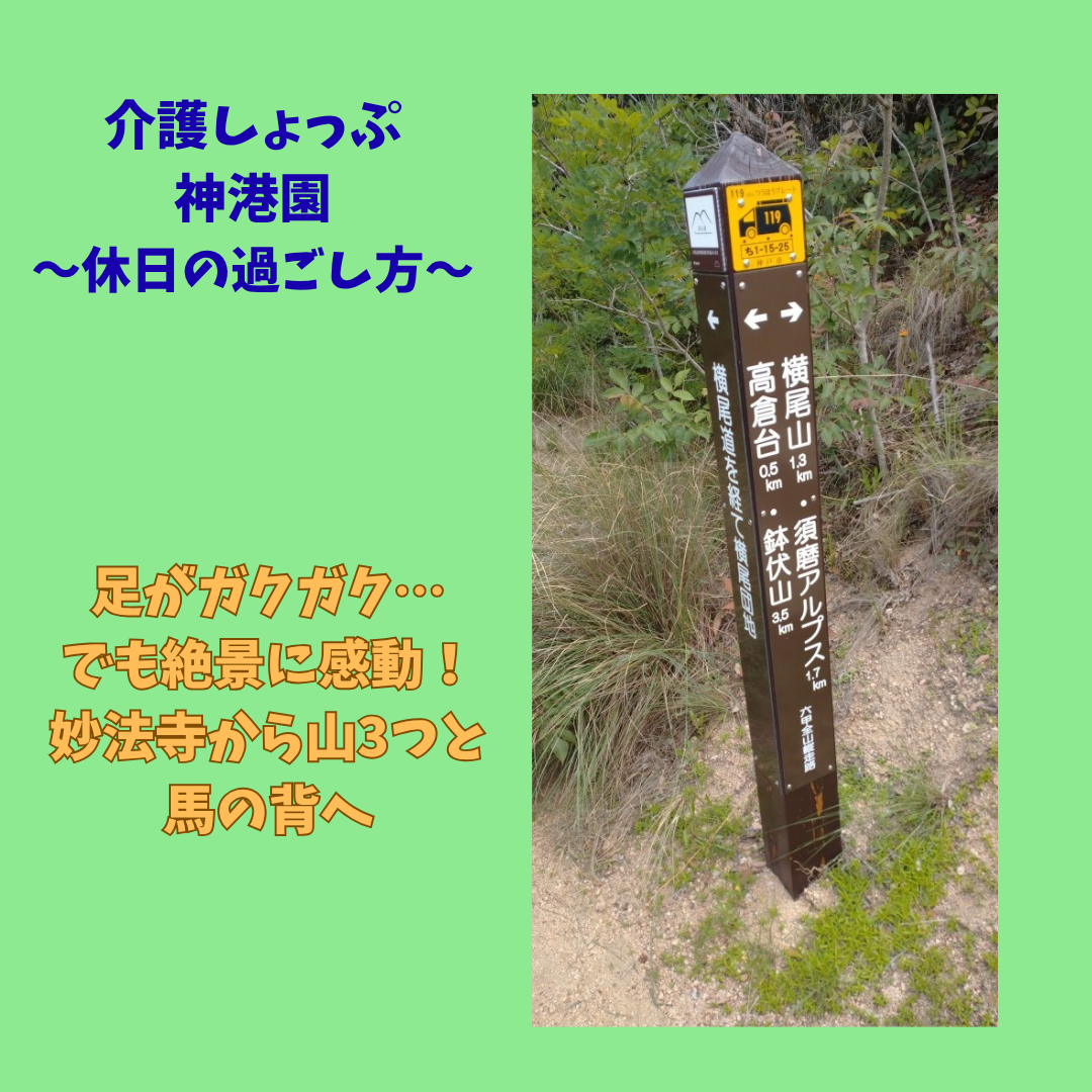 神港園サニープラザ妙法寺から南側に見える山に登ってきました！