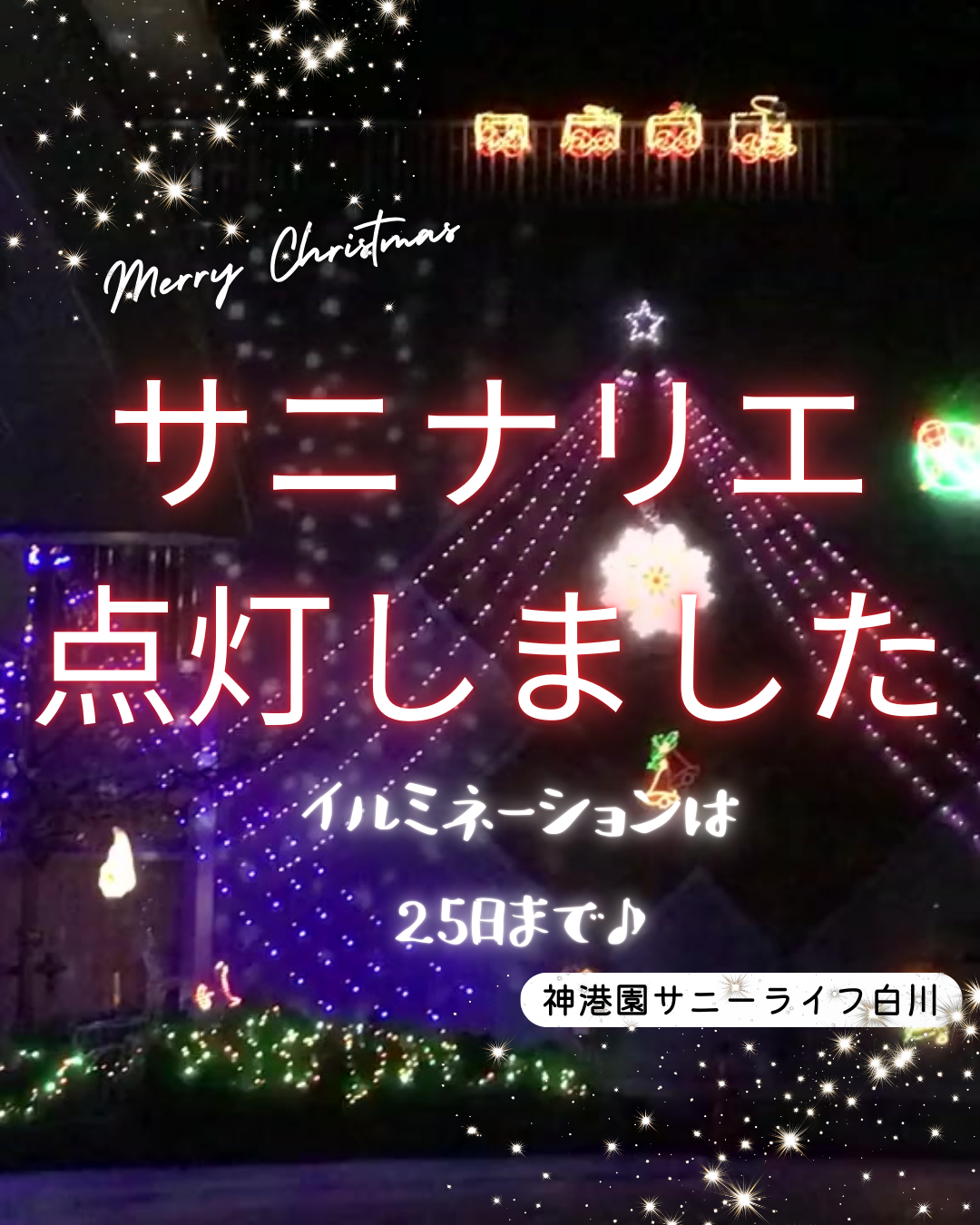 サニナリエ点灯しました！