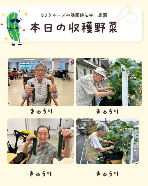 緑 白 かわいい イベント告知 Instagram投稿.jpg