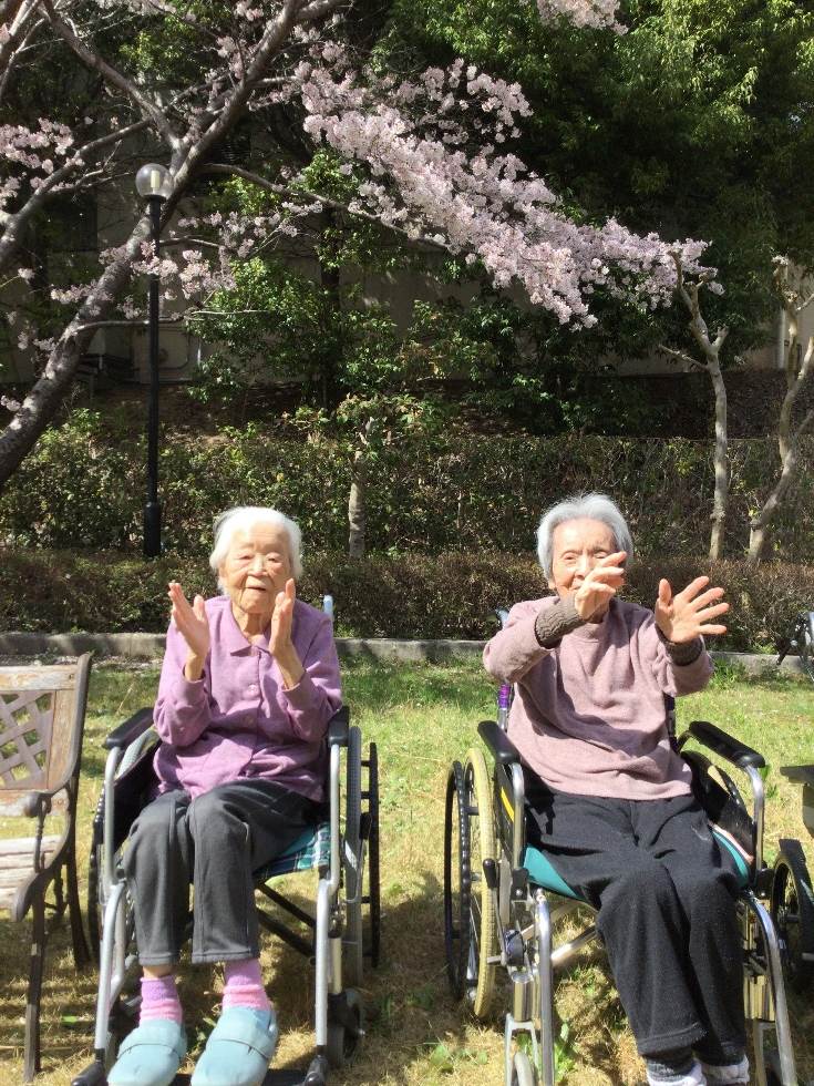 お花見　特養しあわせの家