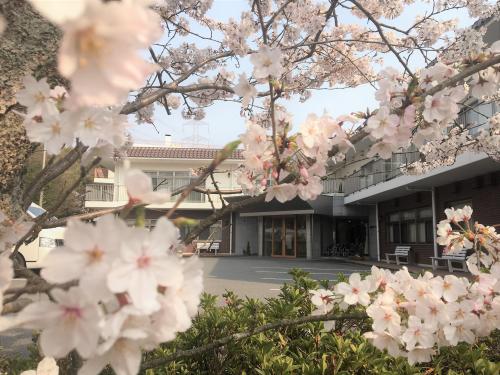 【春爛漫】花巡りツアー