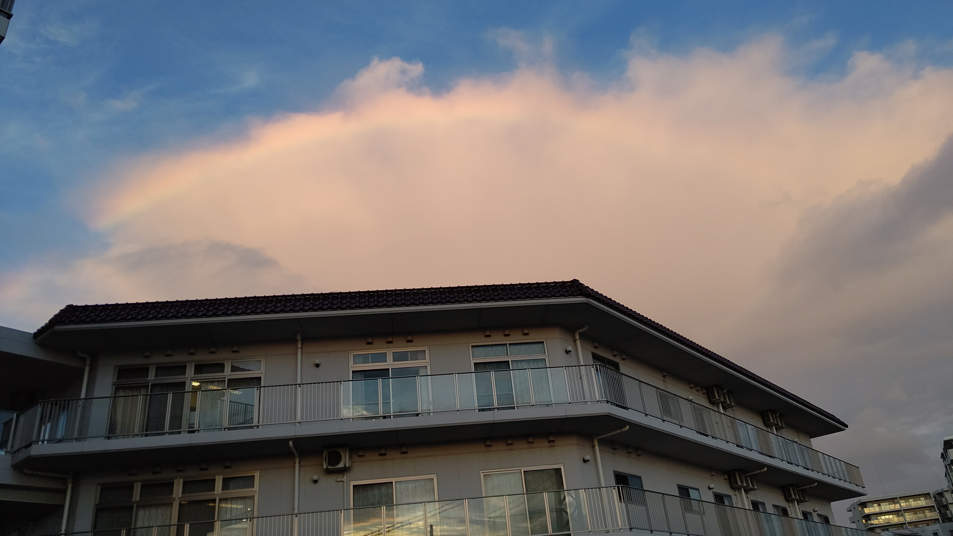 今日が少しでも明るい一日となりますように。