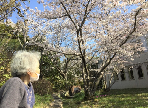 お花見　しあわせの家ショートステイ